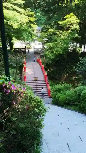 雲巌寺の庭園