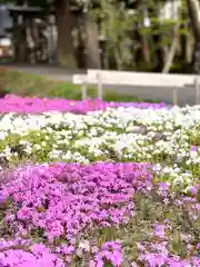 山家神社の自然