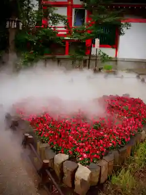 川越八幡宮の{uncategorized: "未分類", other: "その他", undefined: "問題あり", building: "その他建物", grave: "お墓", sacred_gate: "鳥居", guardian: "狛犬", statue: "像", buddha: "仏像", history: "歴史", nature: "自然", garden: "庭園", animal: "動物", pagoda: "塔", temizu: "手水舎", mountain_gate: "山門・神門", sanctuary: "本殿・本堂", subordinate: "末社・摂社", art: "芸術", scenery: "景色", jizo: "地蔵", ema: "絵馬", goshuin: "御朱印", omikuji: "おみくじ", items: "授与品その他", amulet: "お守り", goshuincho: "御朱印帳", eats: "食事", festival: "お祭り", votive_dance: "神楽", shichigosan: "七五三参", wedding: "結婚式", experience: "体験その他", initially: "初詣", around: "周辺", anti_infection: "感染症対策"}