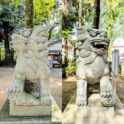七百餘所神社 の狛犬