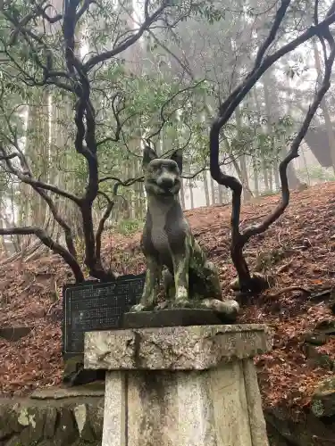 三峯神社(埼玉県)