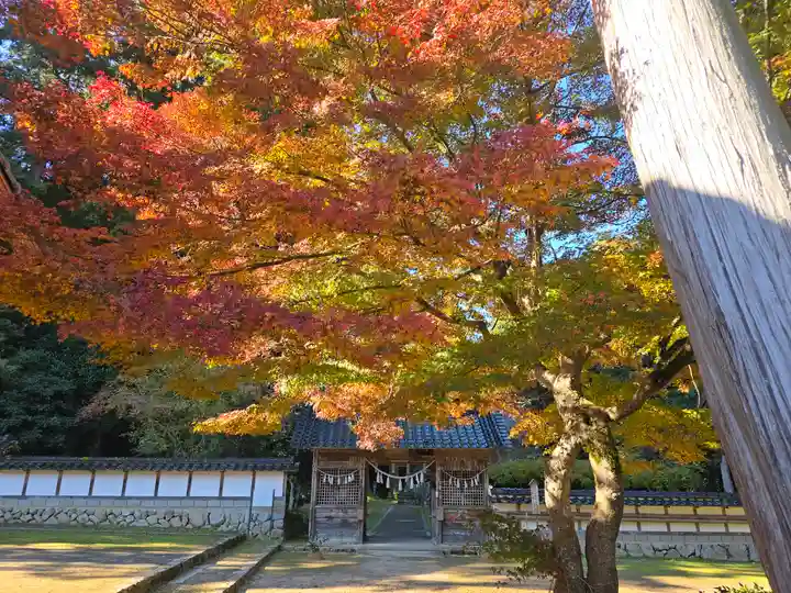 粟鹿神社(兵庫県)