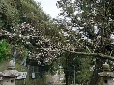 那古寺(千葉県)