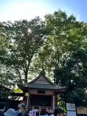 川越氷川神社(埼玉県)