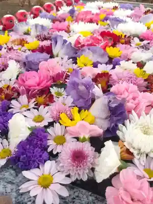 勝福寺(茨城県)