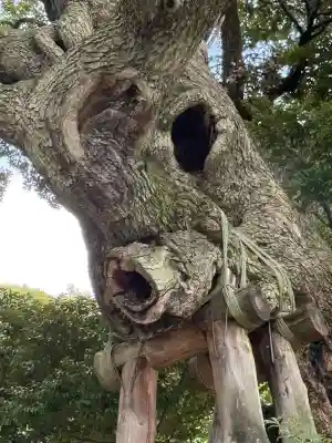九重神社(埼玉県)