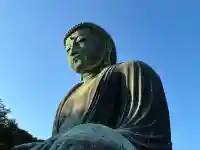 高徳院の{uncategorized: "未分類", other: "その他", undefined: "問題あり", building: "その他建物", grave: "お墓", sacred_gate: "鳥居", guardian: "狛犬", statue: "像", buddha: "仏像", history: "歴史", nature: "自然", garden: "庭園", animal: "動物", pagoda: "塔", temizu: "手水舎", mountain_gate: "山門・神門", sanctuary: "本殿・本堂", subordinate: "末社・摂社", art: "芸術", scenery: "景色", jizo: "地蔵", ema: "絵馬", goshuin: "御朱印", omikuji: "おみくじ", items: "授与品その他", amulet: "お守り", goshuincho: "御朱印帳", eats: "食事", festival: "お祭り", votive_dance: "神楽", shichigosan: "七五三参", wedding: "結婚式", experience: "体験その他", initially: "初詣", around: "周辺", anti_infection: "感染症対策"}