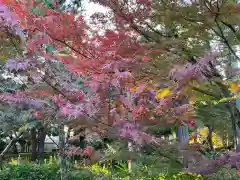 豪徳寺の自然