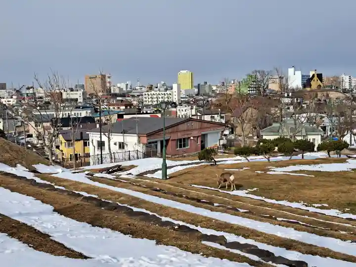 釧路一之宮 厳島神社の動物