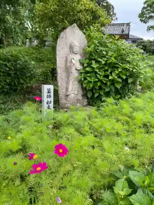 般若寺 ❁﻿コスモス寺❁(奈良県)