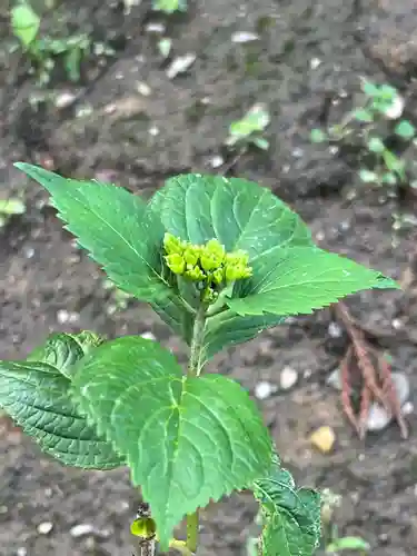 国宝 大法寺(長野県)