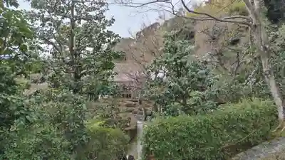 華厳寺(鈴虫寺)(京都府)