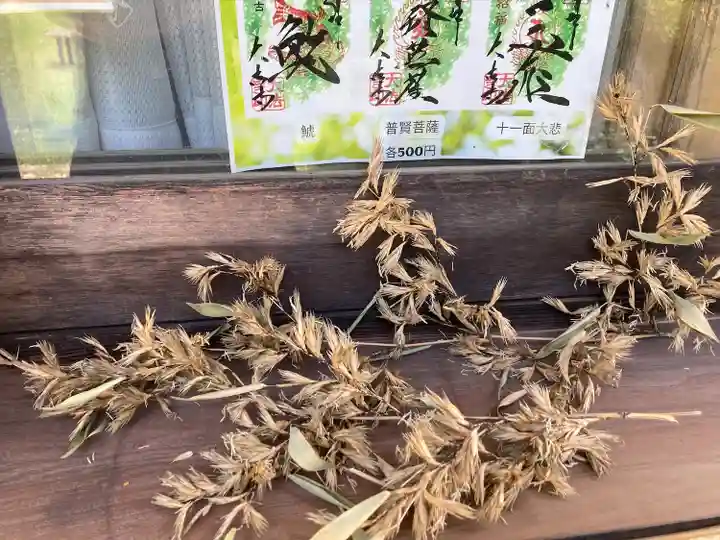 国宝 大法寺(長野県)