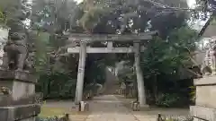 赤坂氷川神社の鳥居