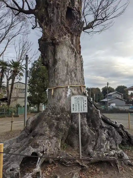 相原八幡宮(神奈川県)