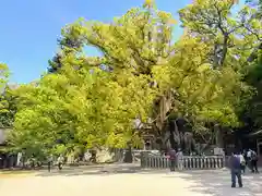 大山祇神社(愛媛県)