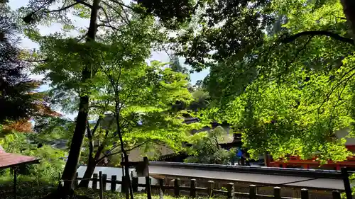 出雲大神宮の景色