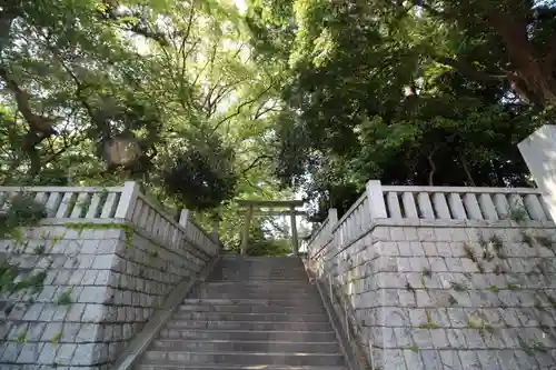 野毛六所神社の鳥居