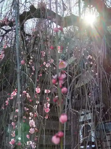 圓通寺（円通寺）の庭園