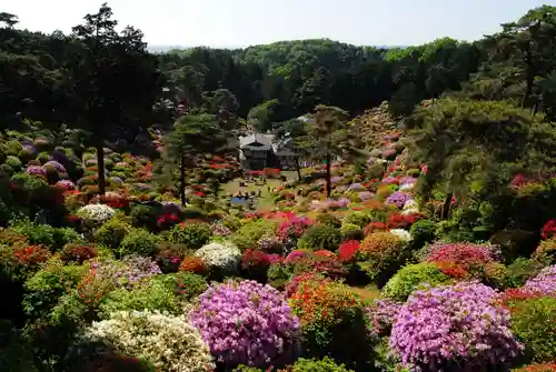 塩船観音寺の景色