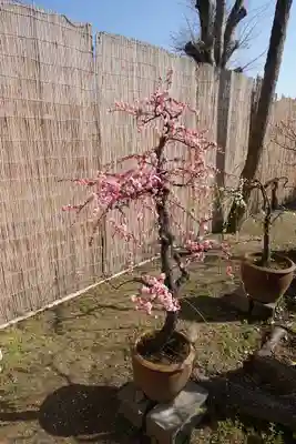 菅原天満宮（菅原神社）(奈良県)