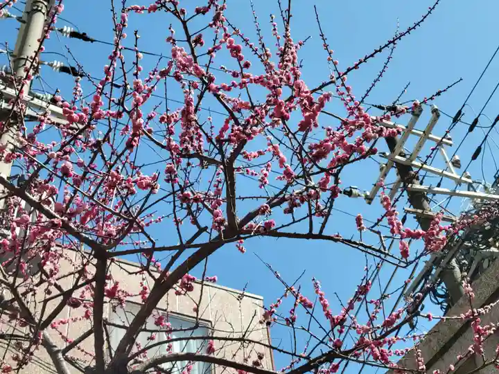 走水神社の自然
