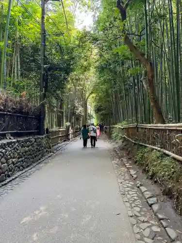 野宮神社(京都府)