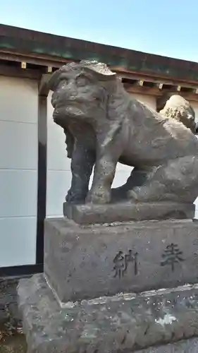 白老八幡神社の狛犬