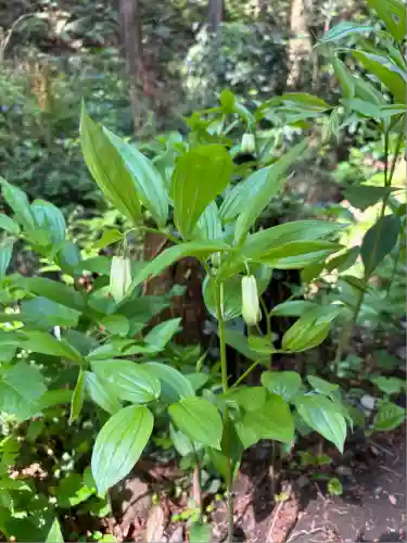 羽黒山神社(栃木県)