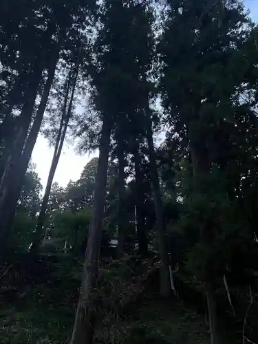 大宮温泉神社(栃木県)