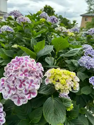 能護寺(埼玉県)