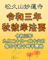 妙蓮寺の体験その他