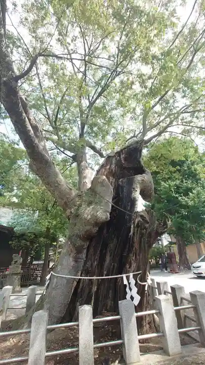 阿邪訶根神社(福島県)