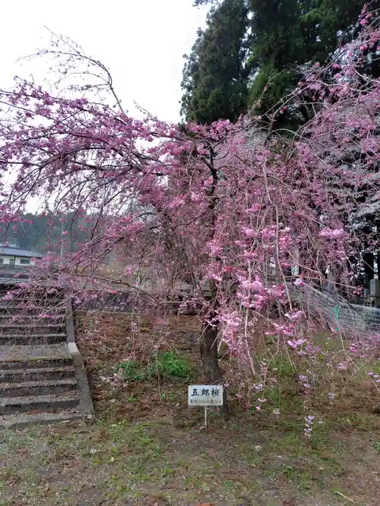 常宣寺(福島県)