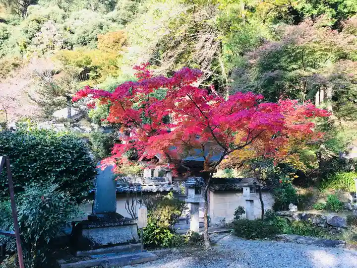 如意輪寺(奈良県)