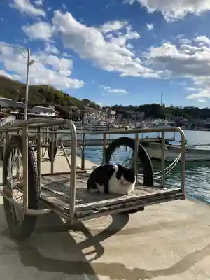 金刀比羅社の動物