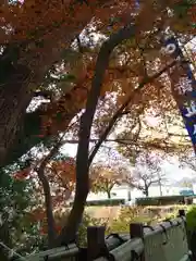 加藤神社の自然