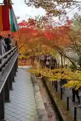 禅林寺（永観堂）(京都府)