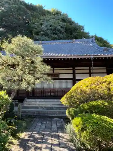 妙光寺(滋賀県)