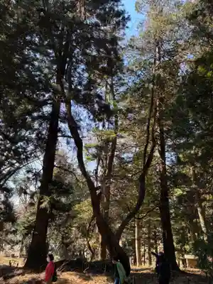 白河神社(福島県)