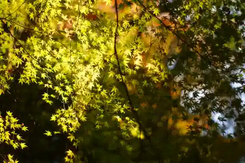 白山比咩神社(石川県)