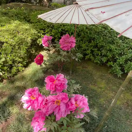 上野東照宮(東京都)