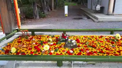 住吉神社の手水舎