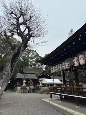 立木神社(滋賀県)