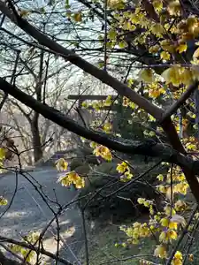 群馬県護国神社(群馬県)(2025年02月07日(金) 11時08分51秒投稿)