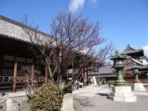 大通寺（長浜御坊）(滋賀県)