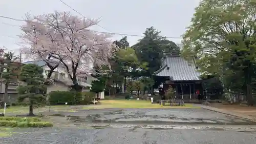 尉殿神社の自然