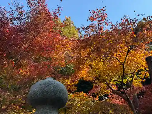 由加山 由加神社本宮(岡山県)