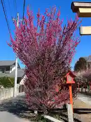 朝日森天満宮(栃木県)