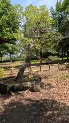 豊國神社(大阪府)